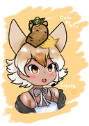 coyopotato