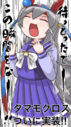 タマモクロス…ついに実装決定ッ!!