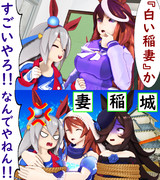 『白い稲妻』のタマモクロス