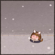 雪が降ったらしいよー