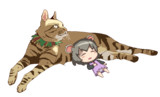 れうさんちのにゃんと申します