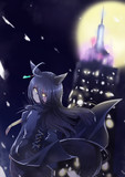 漆黒の摩天楼