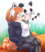 すやすやぱんだとぱんだ