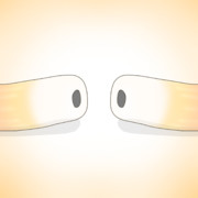 見つめ合うちくわ