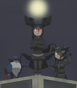 闇夜から覗くカラス達