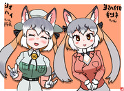 ツインシマハイイロギツネ