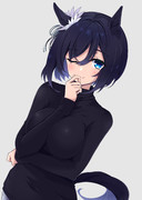 ハイネックのフラッシュさん