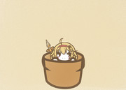 スカシユリ