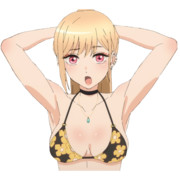 野獣先輩、喜多川海夢だった