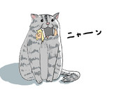 猫の日に猫と遊ぶぽいはむ