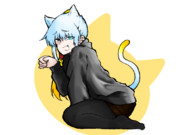 猫かな？