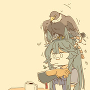 猛禽カフェの常連2