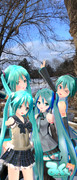 ミクの日
