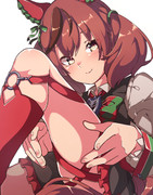 ナイスネイチャさんの脚飾りが好き