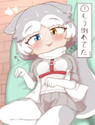 全く参考にならないイヌの倒し方