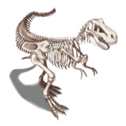 【モングラ素材】暴君ボーンレックス