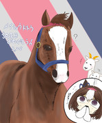 メイショウドトウ誕生日おめでとう