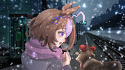 こだぬきポンポ