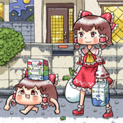 深夜の買い物帰りの博麗霊夢さんとゆっくりさん