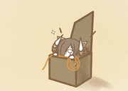 しばりつけるもの