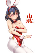 バニー山城