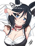 エイシンフラッシュ