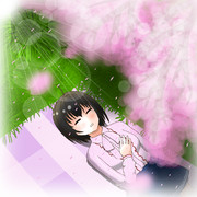 桜の木の下、昼寝をする美穂ちゃん