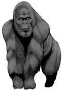 ゴリラ