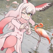 オフラ見していってねぇ♥