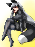 こゃん…(ﾈｯﾄﾘ