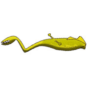 ターリーモンスター