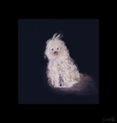 プリードッグくん