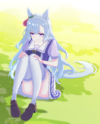 メジロアルダン