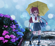 梅雨のりょくちゃん