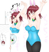 バニーソフィー