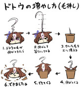 ドトウの増やし方