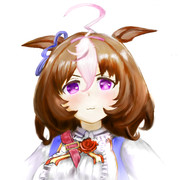 メイショウドトウ