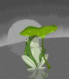 水に包まれた星