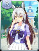 アサラナイトのRサポカ