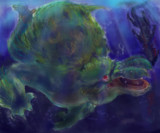 遊泳の河童蛙　ヨツミワドウ
