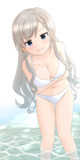 白はーちゃん