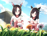 ガザニアの花言葉は...