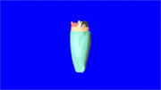 クレープ先輩