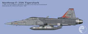 ノースロップ　F-20　タイガーシャーク