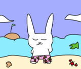 【オリキャラ】ウサギの水着【ピラフドリア】