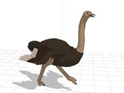 【配布】ダチョウ【MMD】