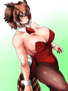 意外に描いてなかったバニミミズク