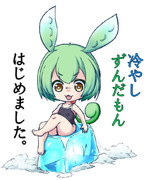 冷やしずんだもん始めました。