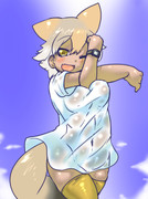 夏コヨーテちゃん