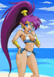 マウスとペイントで水着Shantae